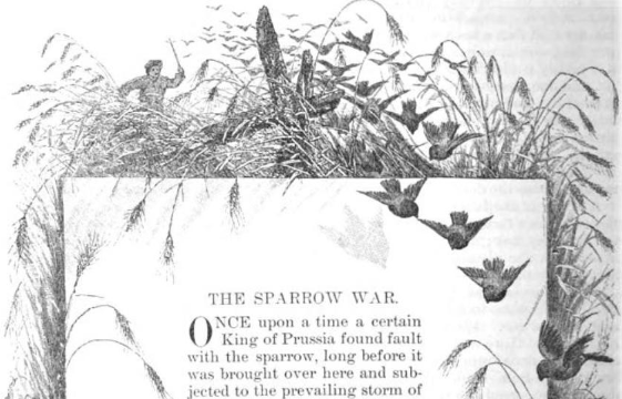 the sparrow science fiction